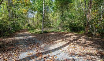 10 Dodd Rd, Barnardsville, NC 28709