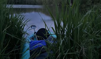 15116 NE GRANTHAM Rd, Amboy, WA 98601