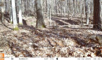 590 247 Country Rd, Bruce, MS 38915