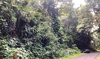 772 Nahiku Rd, Hana, HI 96713