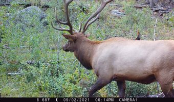 TBD Old Flowers Road, Bellvue, CO 80512