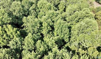 2 93 Acres Highway 231, Arab, AL 35016