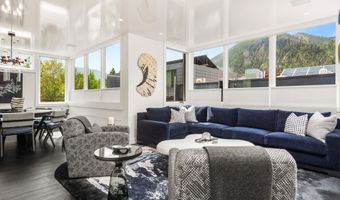 627 E Hopkins Ave 201, Aspen, CO 81611