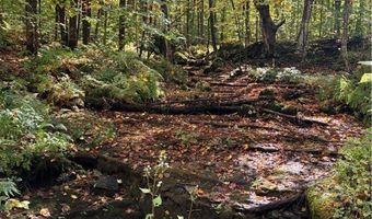 9822 Culver Brook Rd, Alder Creek, NY 13309