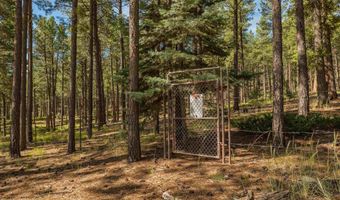 32 Via Contenta, Angel Fire, NM 87710