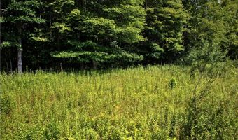 VL 104th Avenue, Allegan, MI 49010