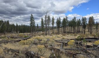 Partin Drive 19, Beatty, OR 97621