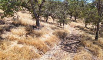 1560 Pinto Dr, Angels Camp, CA 95222