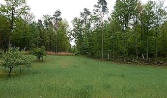 15252 27 Mile Rd, Albion, MI 49224