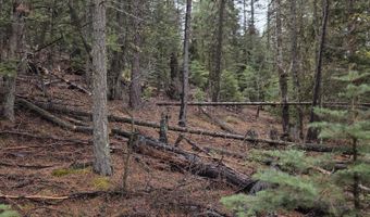 E Yak / Hwy 140 Lane lot 1, Bonanza, OR 97623