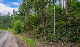 13727 Big Hawk Dr, Bigfork, MT 59911