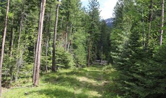 Nhn Black Wolf Trail, Bigfork, MT 59911