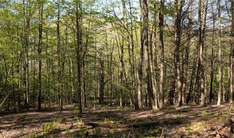East River Road lot 5, Andes, NY 13731