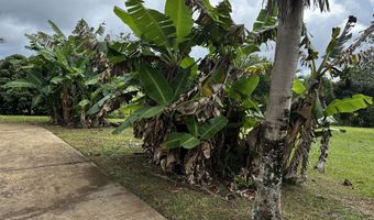 6469- L KAWAIHAU Rd, Kapaa, HI 96746