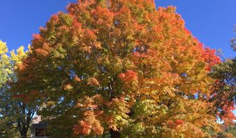 5 Old Manchester Rd, Amherst, NH 03031