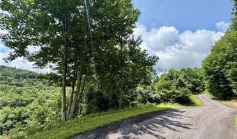 Beaver Dam Road lot 99, Banner Elk, NC 28604