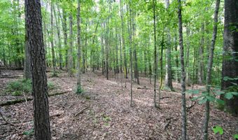 TBA BETTYS BRANCH RD X, Arvonia, VA 23004