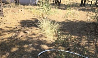 31583 Chicken Hawk Ln, Bonanza, OR 97623