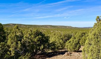 Kirkland DR 20 Acres, Concho, AZ 85924