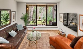 412 Vine St, Aspen, CO 81611