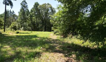 80 N4130 Rd, Antlers, OK 74523