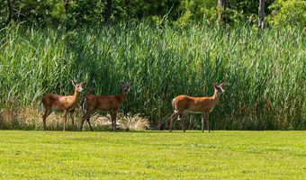 11845 MAN O WAR Ln, Berlin, MD 21811