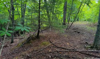 724 Streamside Dr, Arden, NC 28704