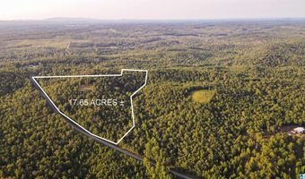 200 TABLEE LANE Lot 17.65, Ashland, AL 36251