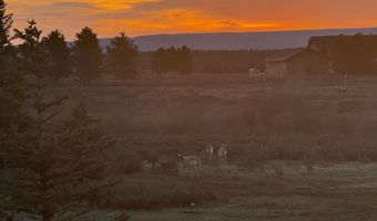 3829 Arange Peak Dr, Ashton, ID 83420