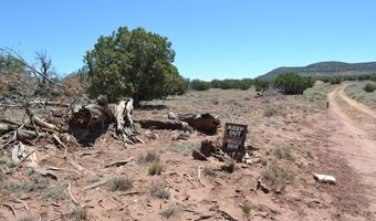 N8604, Concho, AZ 85924