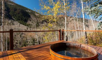 6770 Castle Creek Rd, Aspen, CO 81611