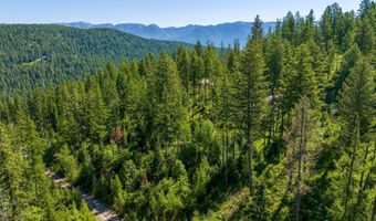 173 Timberjack Trl, Bigfork, MT 59911