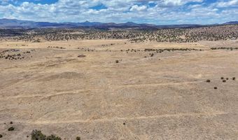 New Mexico 246, Capitan, NM 88316