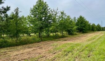 Lot 1 Spencer Trl, Bogue Chitto, MS 39629