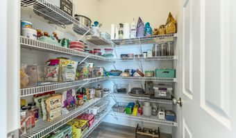289 Springview St, Ann Arbor, MI 48103