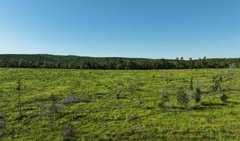 D4289 Road, Antlers, OK 74536