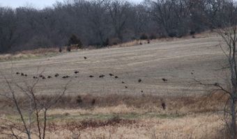 189 Th St, Albia, IA 52531