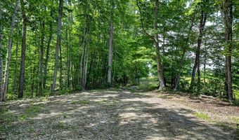 2926 Bryant Ridge Rd, Baxter, TN 38544