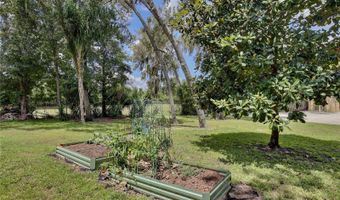 1726 MAJESTIC OAK Dr, Apopka, FL 32712