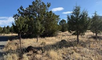 Old Coyote Ct, Alturas, CA 96101