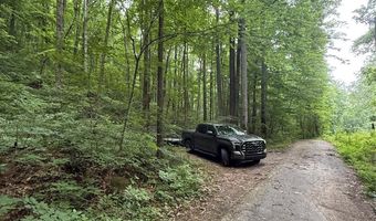 9999 Countryside Est, Barnardsville, NC 28709