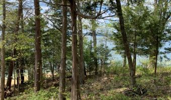 509 Bonne Vista Dr, Baneberry, TN 37890