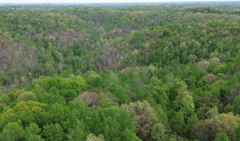 694 A Tunnel Ridge Rd, Argillite, KY 41121