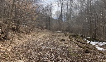 0 TBD Elleber Sods Rd, Bartow, WV 24920