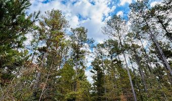 644 Ash-Harrel Loop, Abbeville, GA 31001