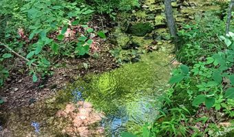 65 Acres Plainview Rd, Anderson, MO 64831