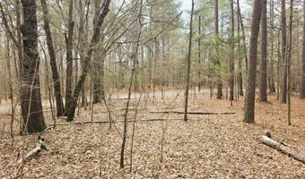 Zig Zag, Big Sandy, TN 38221