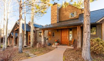 506 Wild Spring Ln, Basalt, CO 81621