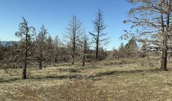 31763 Godowa Springs Rd, Beatty, OR 97621