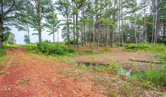 Tract 1 Highway 99, Anderson, AL 35610